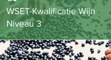 Advanced International – WSET 3