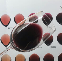 Cursus Become a wine professional