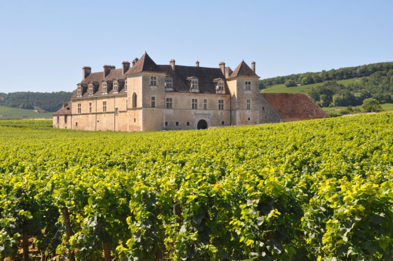 Mood photo for Internationaal Wijnbrevet in Bourgogne 4-9 mei 2026