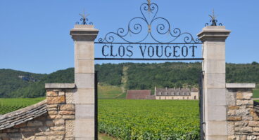 Internationaal Wijnbrevet in Bourgogne 4-9 mei 2026