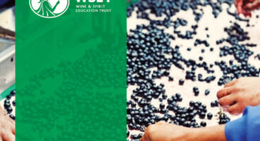 WSET level 3 Advanced Online